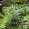 p9170003.jpg