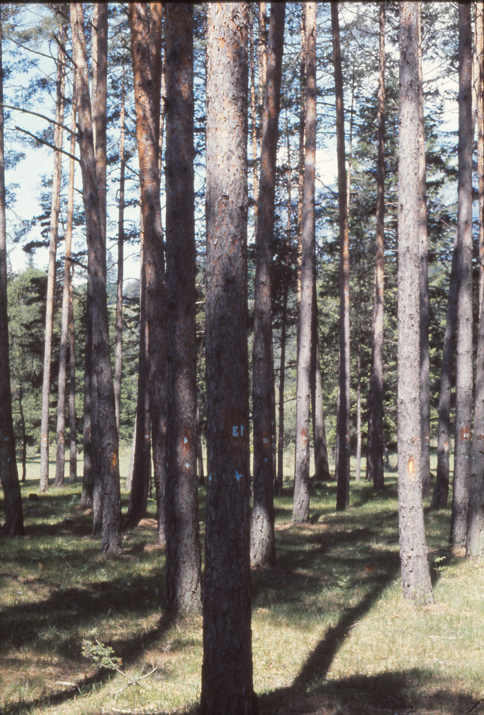 12009000_foto_1974.jpg