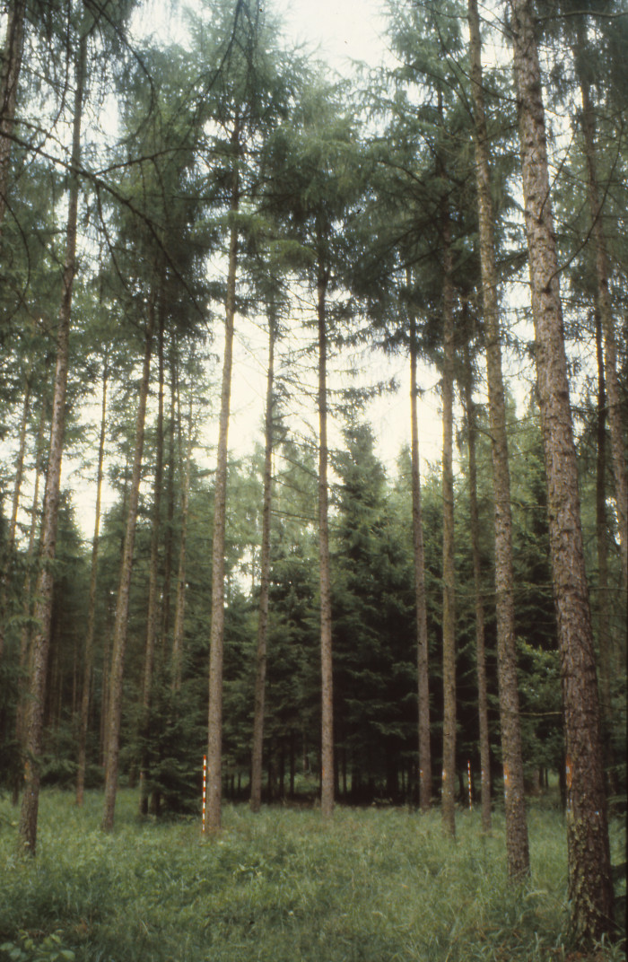 13009000_foto_1979.jpg