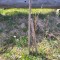 img_20260421_160639.jpg