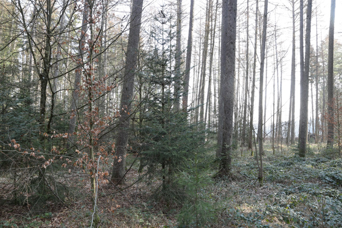 36001000_foto_2015.jpg