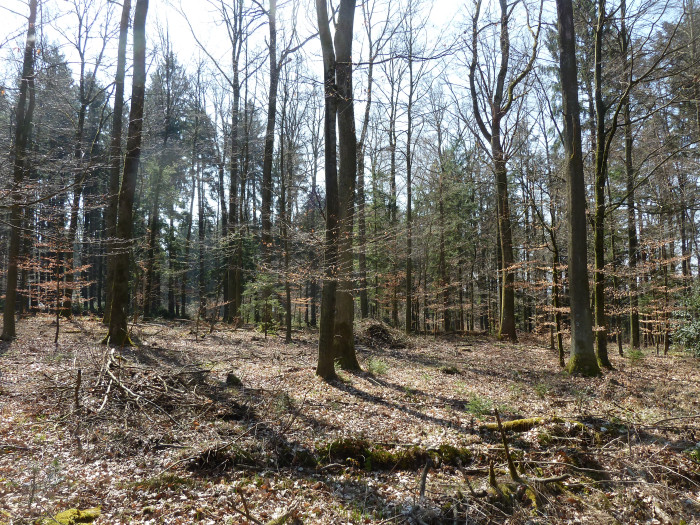 61021000_foto_2012.jpg