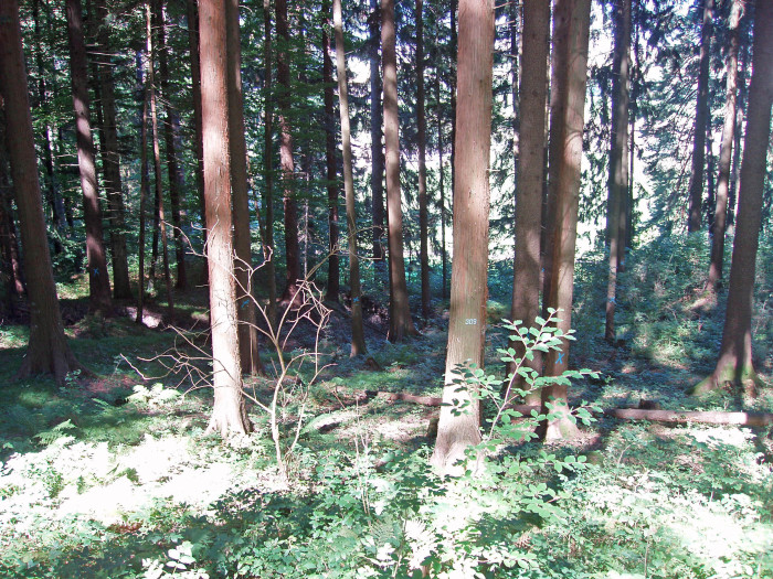 34001000_foto_2006.jpg