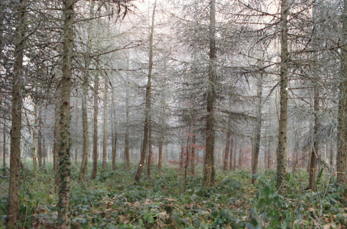 24043000_foto_1989.jpg
