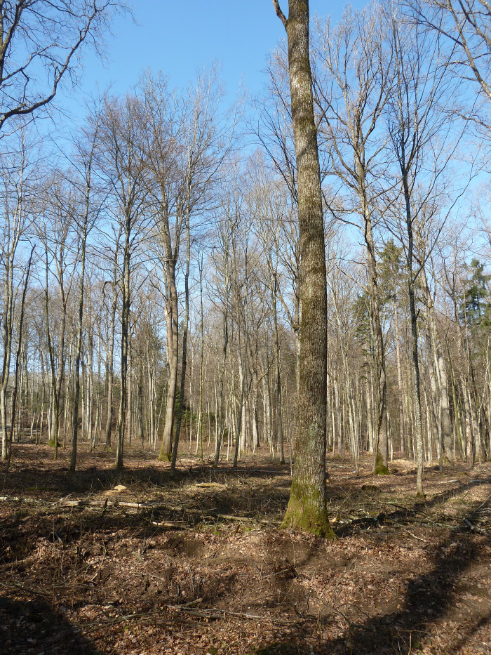 14002000_foto_2012.jpg